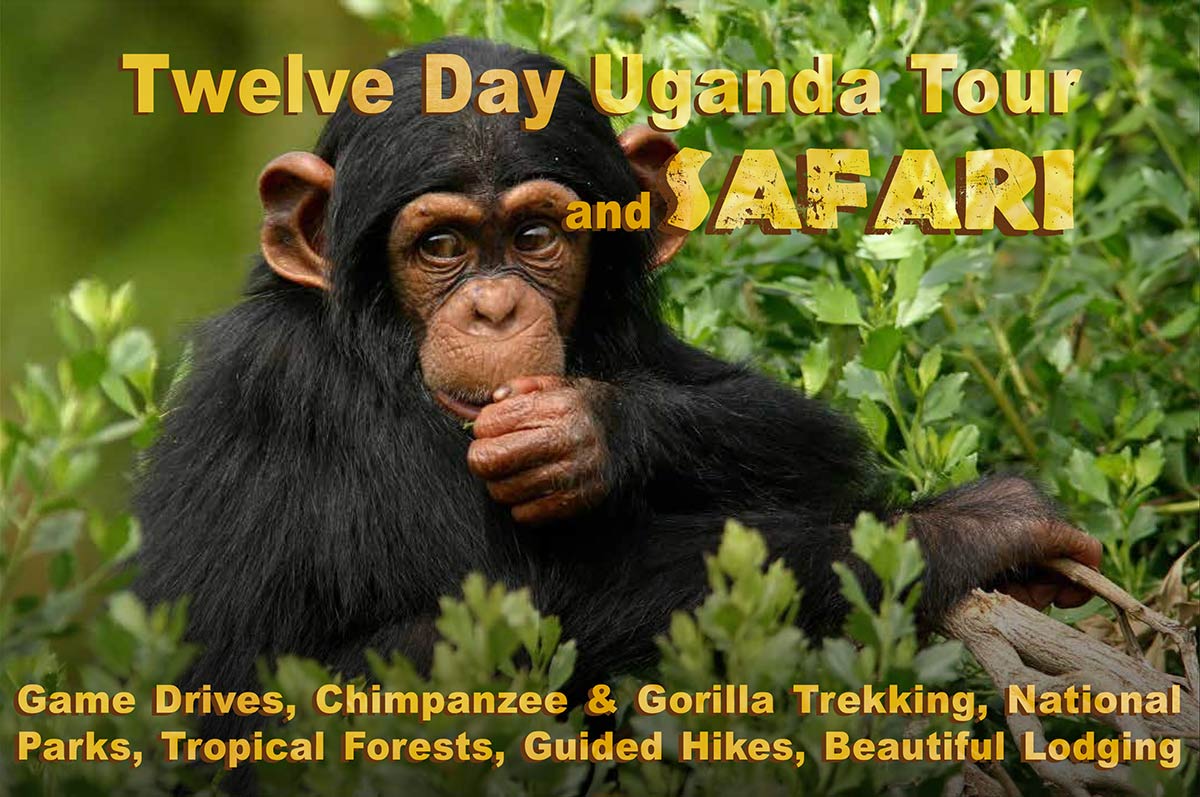 Zimu Foundation Uganda 12 Day Tour and Safari